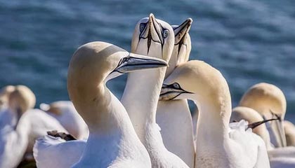 嘉善最新的高价医保卡惠民保险代扣怎么取消掉了方法分享(嘉善惠民医保怎么报销教程)